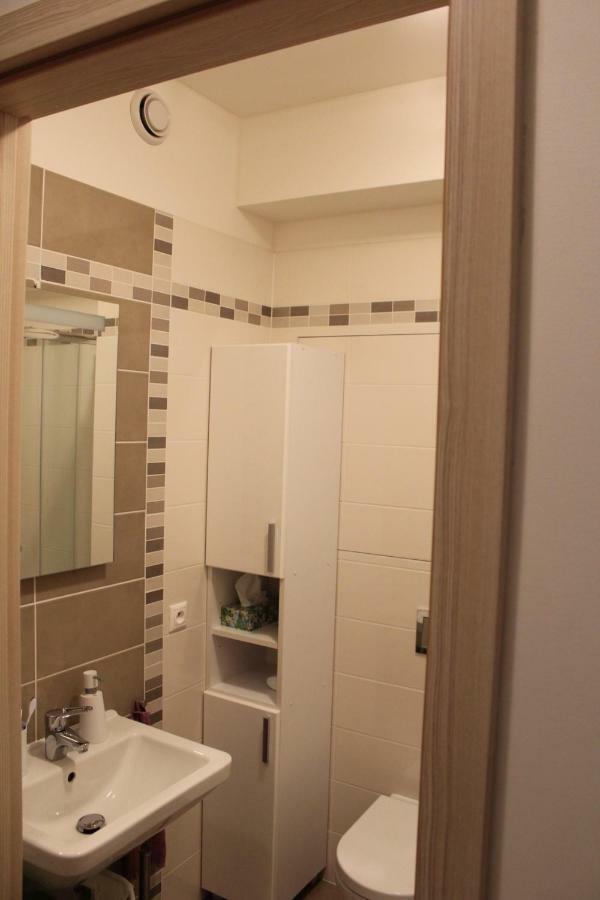 Big Apartment 291 - Rezidence Eliska Prague 9 エクステリア 写真